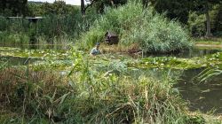 09-PXL_20250711_101458984